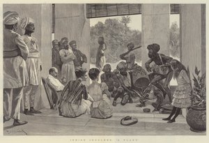 Malabaristas indianos, uma planta
